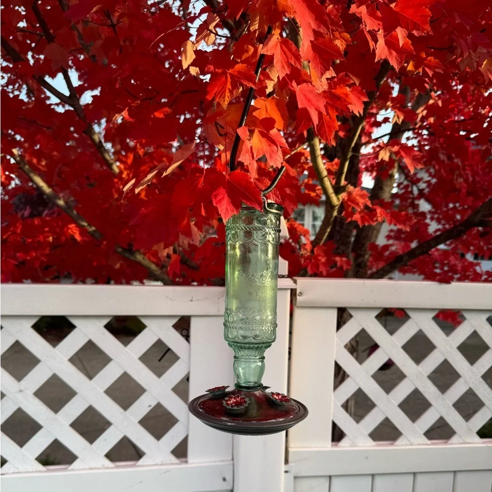 Glass Hummingbird Feeder
